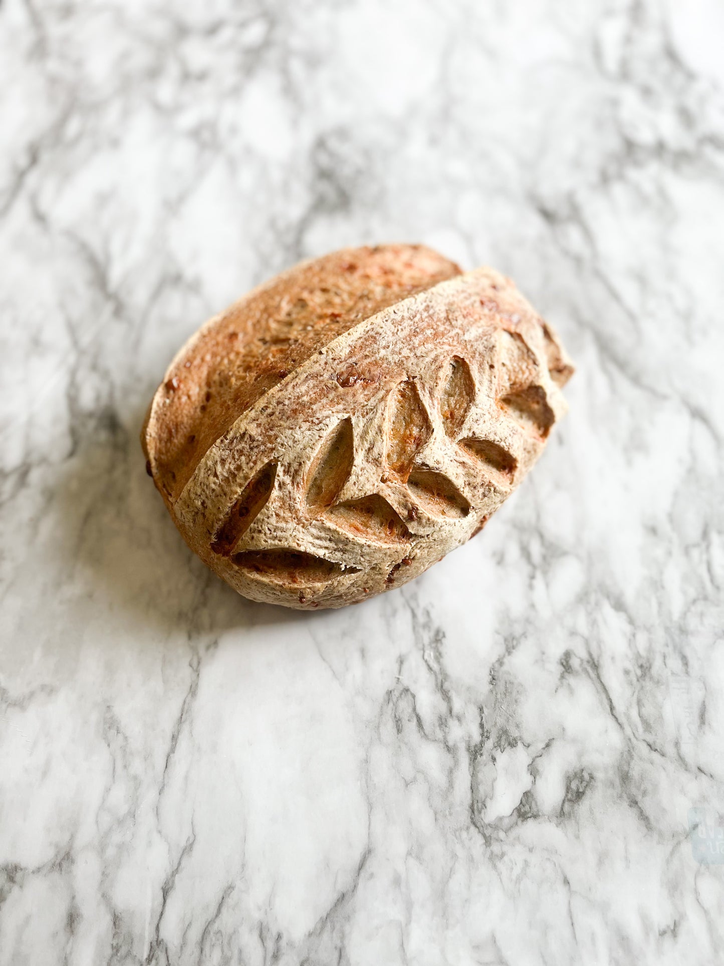 Italian Herb & Cheddar Bread